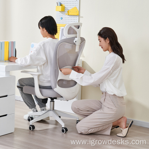 office furniture chairs ergonomic chair office